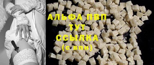 сатива Арсеньев