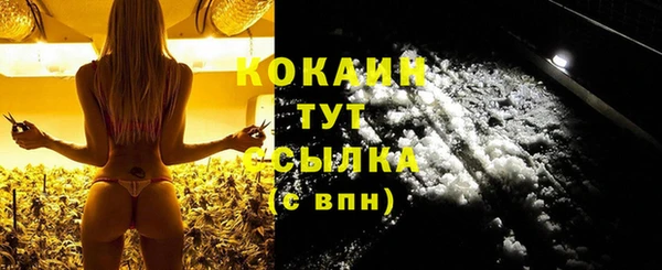 сатива Арсеньев