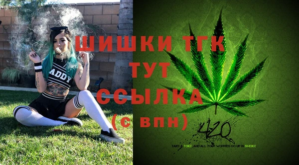 сатива Арсеньев